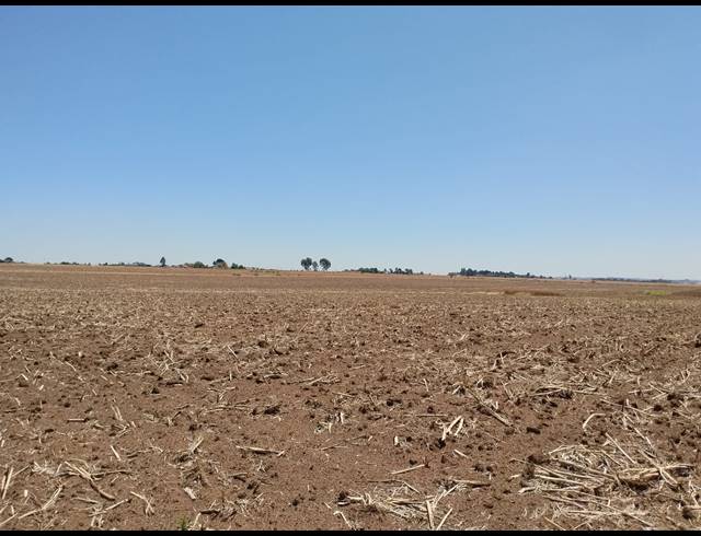 20.20HA VACANT LAND FOR SALE IN CHRISSIEFONTEIN